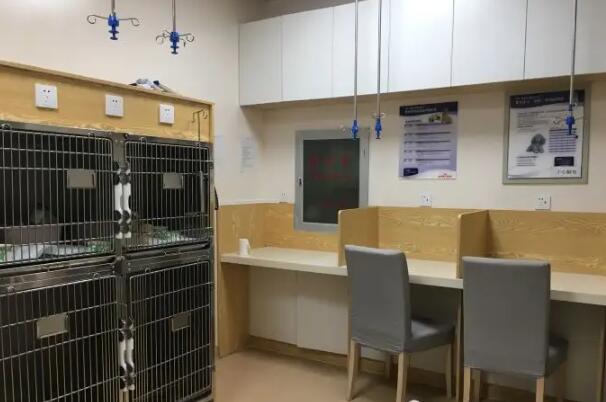  Pet Hospital