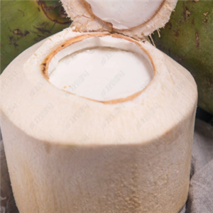 贝勒椰椰子冻