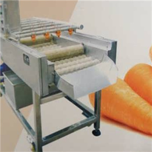  Bingzun fruit and vegetable cleaning machine
