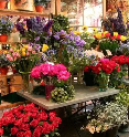 一家花店鲜花