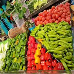 蔬菜生鲜超市店诚邀加盟
