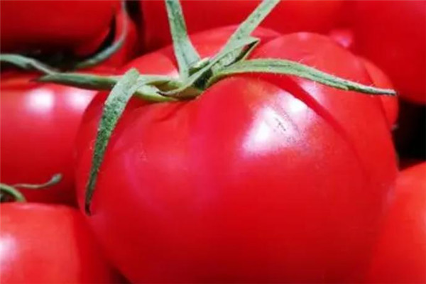 番茄超市加盟