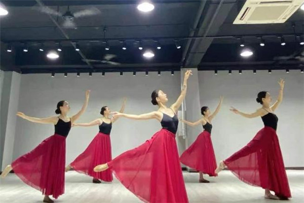 胡杨舞蹈班加盟