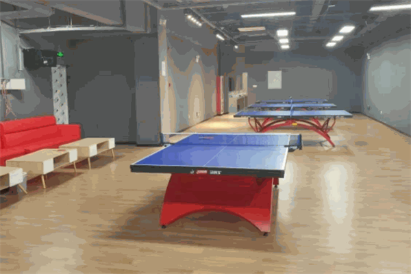  Dream Oriental Table Tennis Gymnasium Joined
