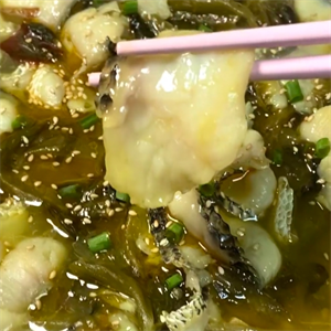 貓九屋酸菜魚(yú)