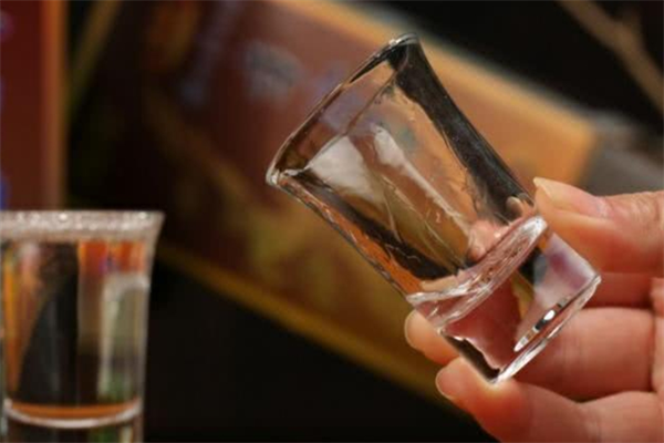 分金亭白酒加盟