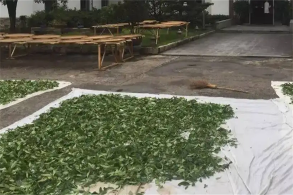 喜茗茶叶加盟
