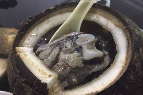 原只椰子炖品加盟