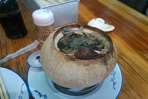 原只椰子炖品加盟