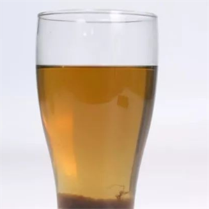 失眠企鵝精釀酒館