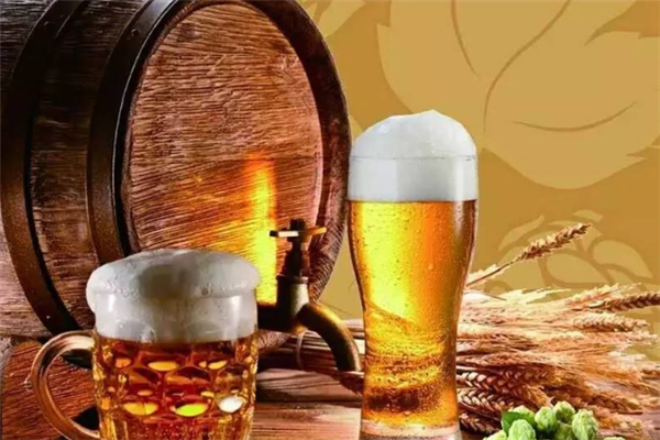 失眠企鹅精酿酒馆加盟