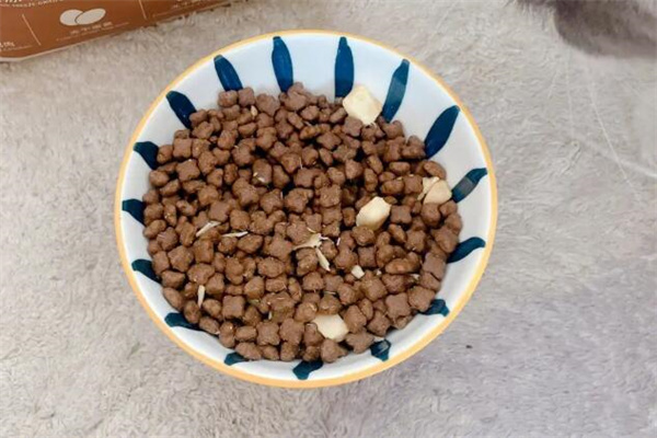宠吾爱宠物食品加盟