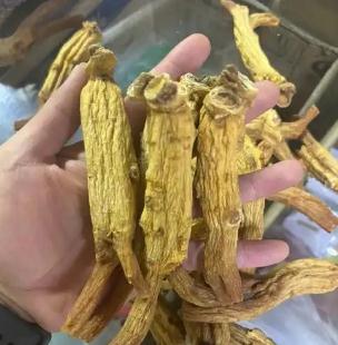 一和韓國高麗人參