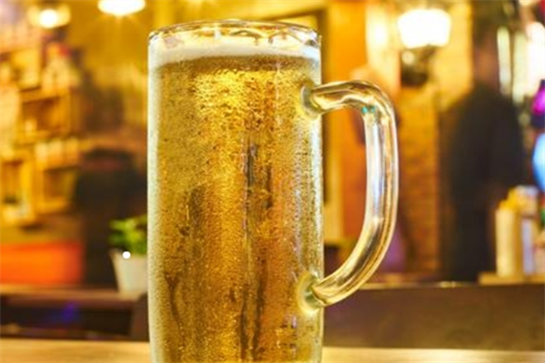 卡萨顿精酿啤酒加盟