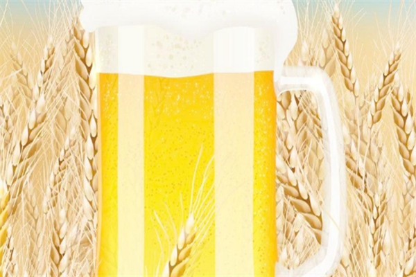 十二度啤酒加盟