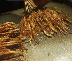 陳大焱大連鐵板鮮魷魚
