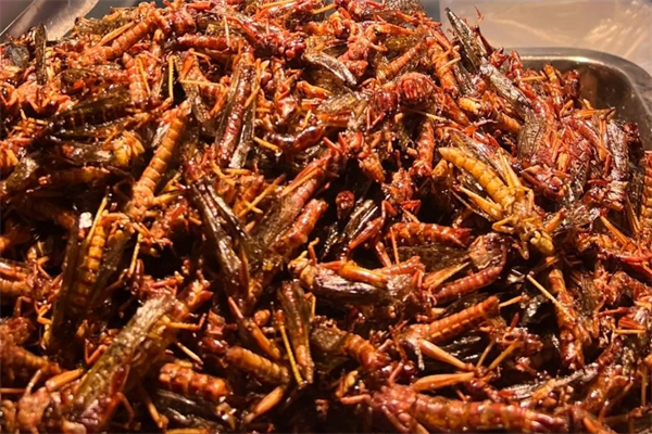 聚鑫熟食加盟