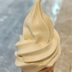 日世進(jìn)口軟冰激凌