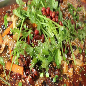 壩壩紙上烤魚(yú)