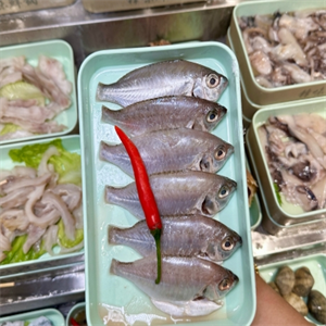 潮汕民記牛肉火鍋