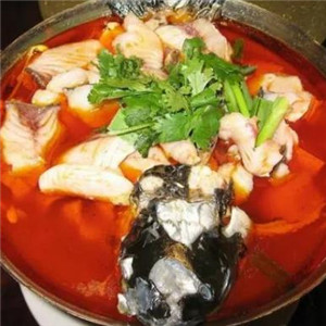 潮汕石斑魚火鍋