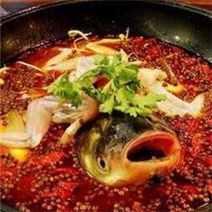 翠花家鱼头王