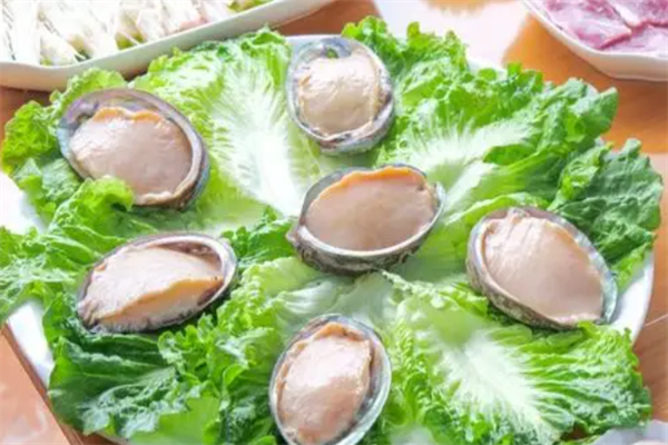 蛇口渔民合作社渔民食堂加盟