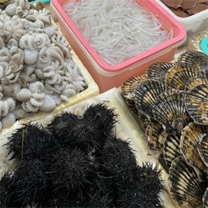 何氏蹦蹦魚模式