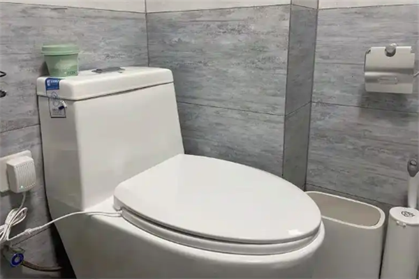 爱真马桶盖加盟