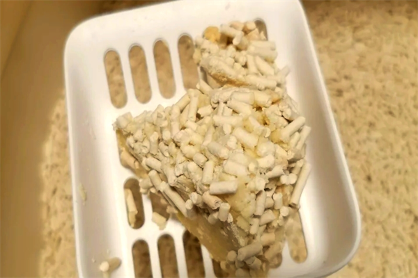 猫小左豆腐猫砂加盟