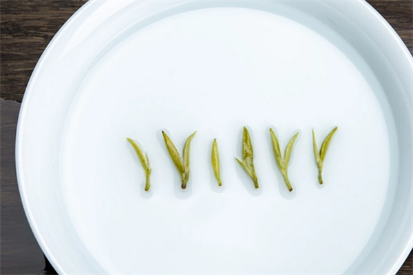 聚点茶楼加盟