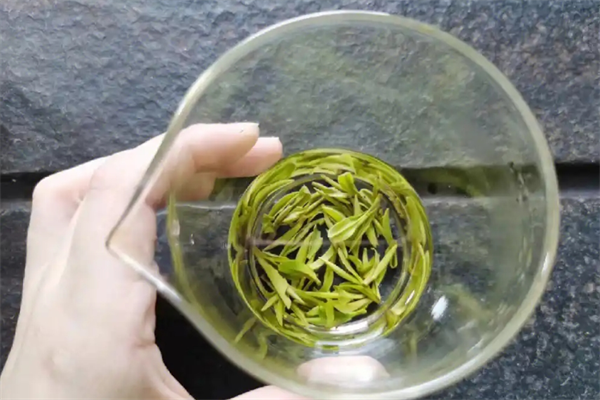 常来茶加盟