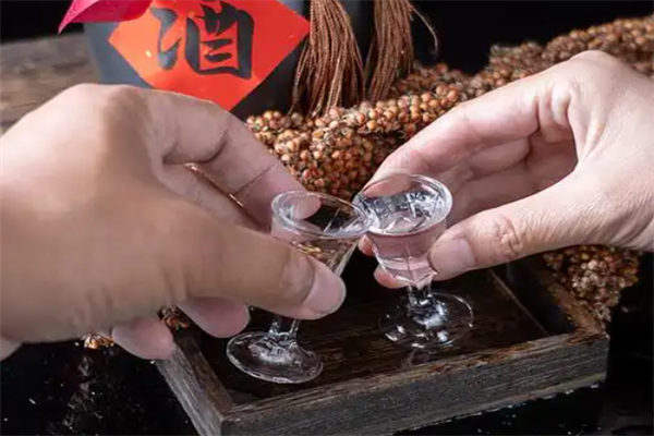 君仁酒业加盟