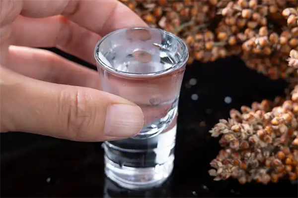 吉中吉酒加盟
