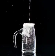 蒲公岭酒