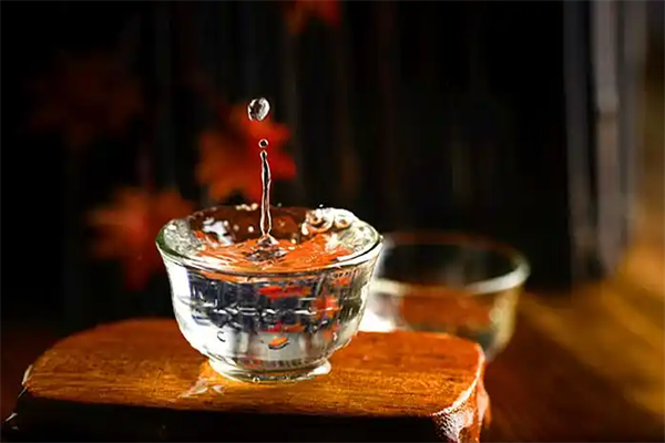十五年珍品酒加盟