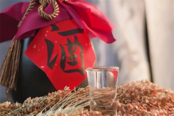 柏天顺酒加盟