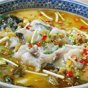 从孝酸菜鱼