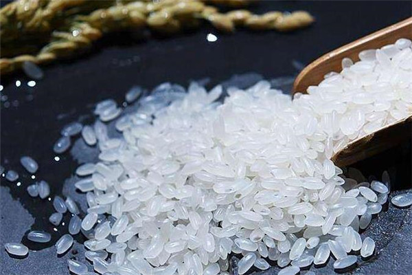 大粮米业加盟