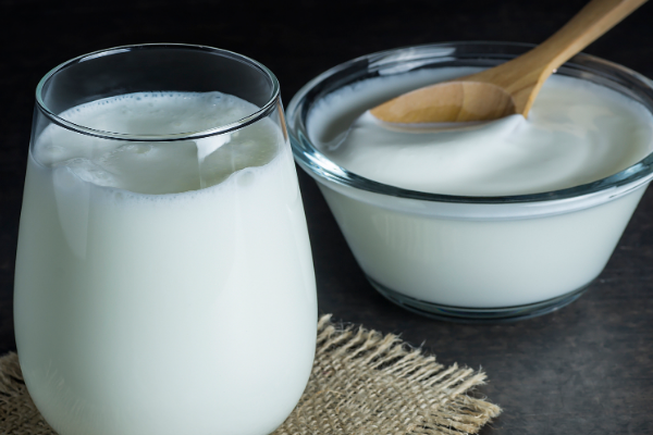 益得神牛乳业加盟