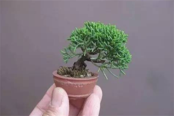 三川自控加盟 三川自控加盟