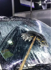 水果洗車機(jī)