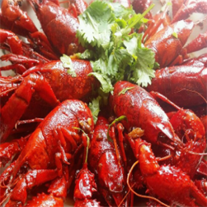 你别走小龙虾诚邀加盟