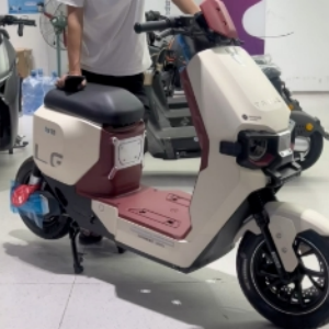 國彪電動車