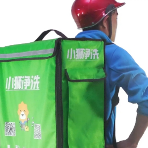 小獅凈洗