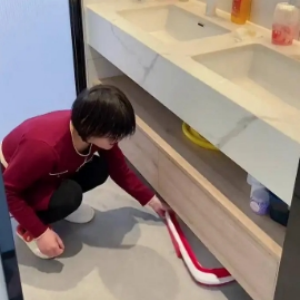 清水家政