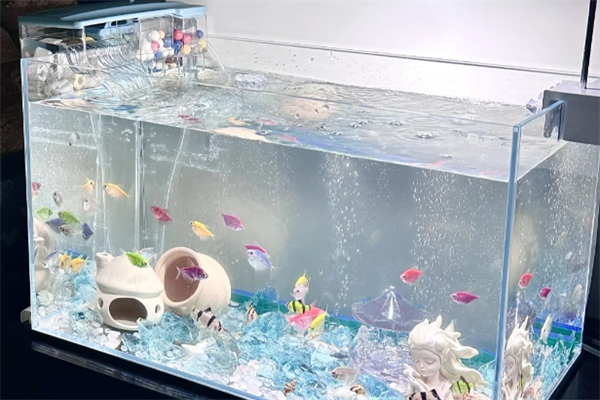 鱼缸代理加盟 鱼缸代理加盟