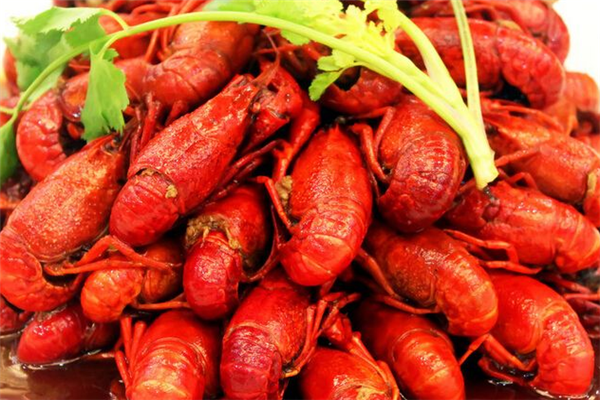 四季龙虾馆加盟 