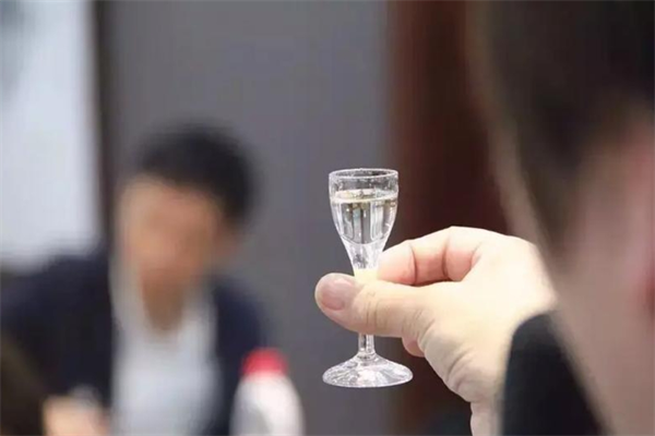 东方娇子白酒加盟