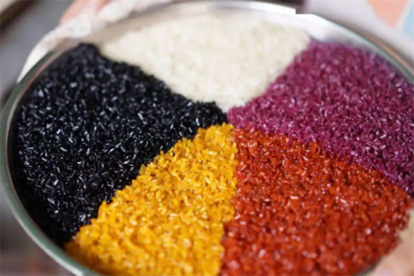 手抓糯米饭团加盟